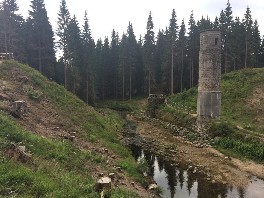 Penzion Podlesi Kořenov Zewnętrze zdjęcie
